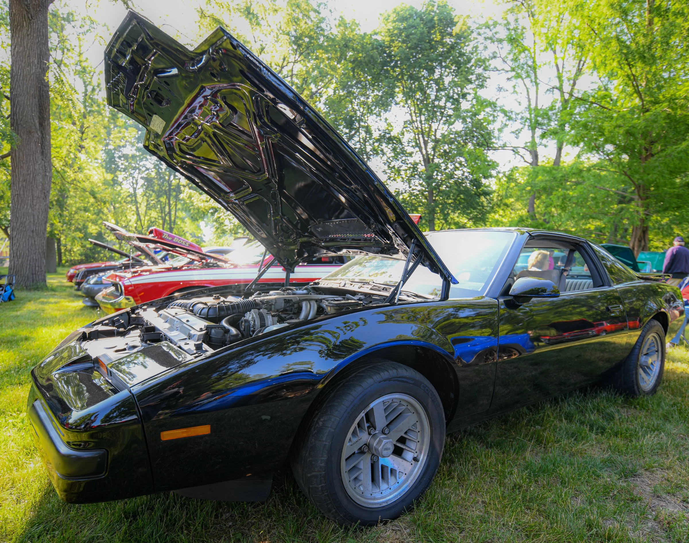 DSC_8221.jpg