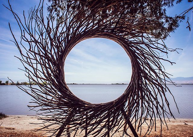 Ethereal portal created by @cameronkrow as part of Meditation Grove by @tigrebailando for @libfestival last year ✨
...
..
.
.
.
.
.
.
.
.
.
.
.
.
#lightningishome #libfestival #lightninginabottle #dolab #festival #production #california #sculpture #n