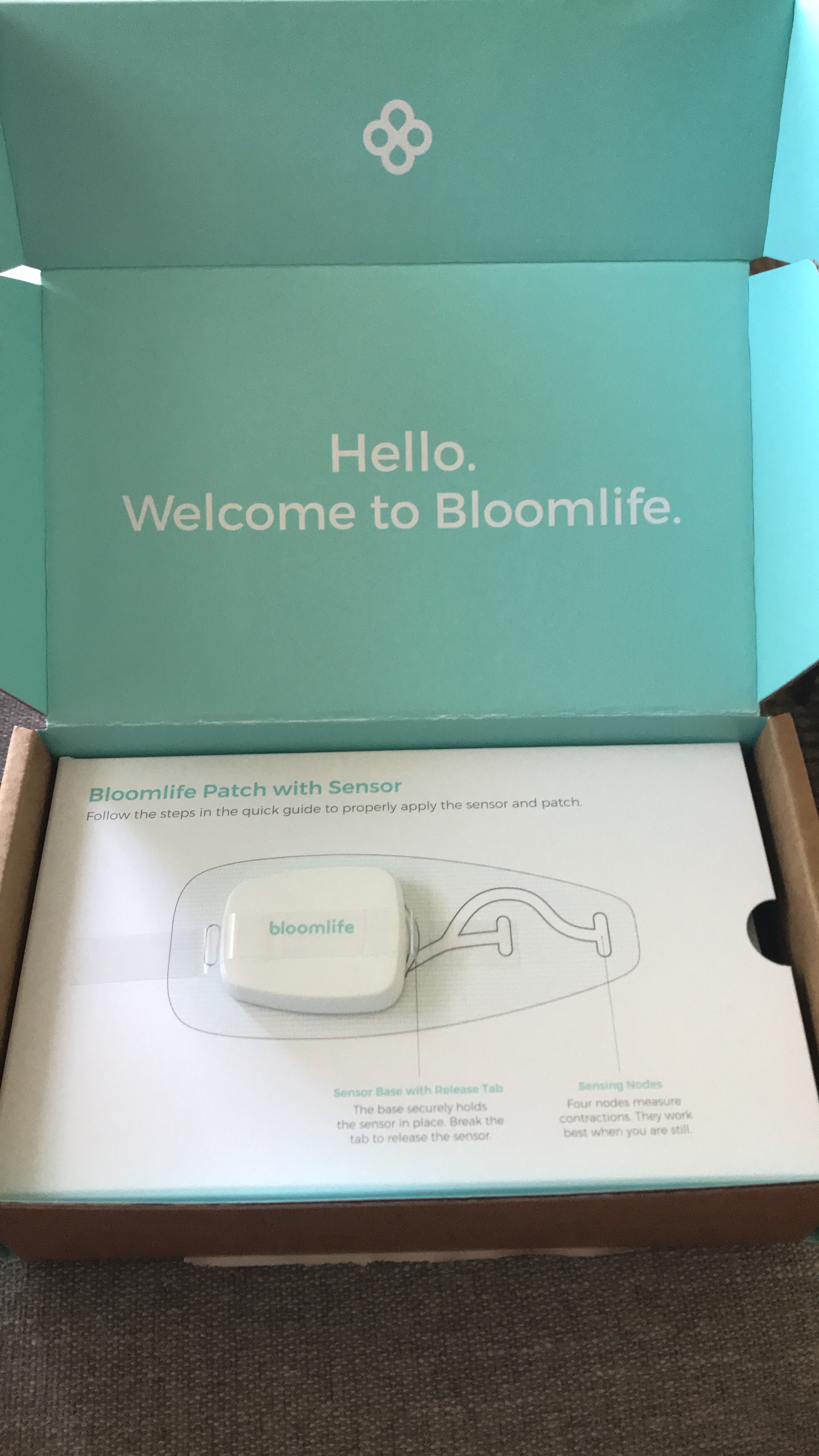 Infertile &amp; Pregnant: Three Gadgets I Absolutely Needed to Survive Pregnancy