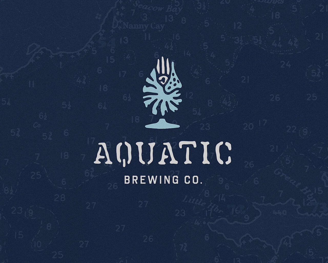 Wolf Pizza @ Aquatic Brewing 