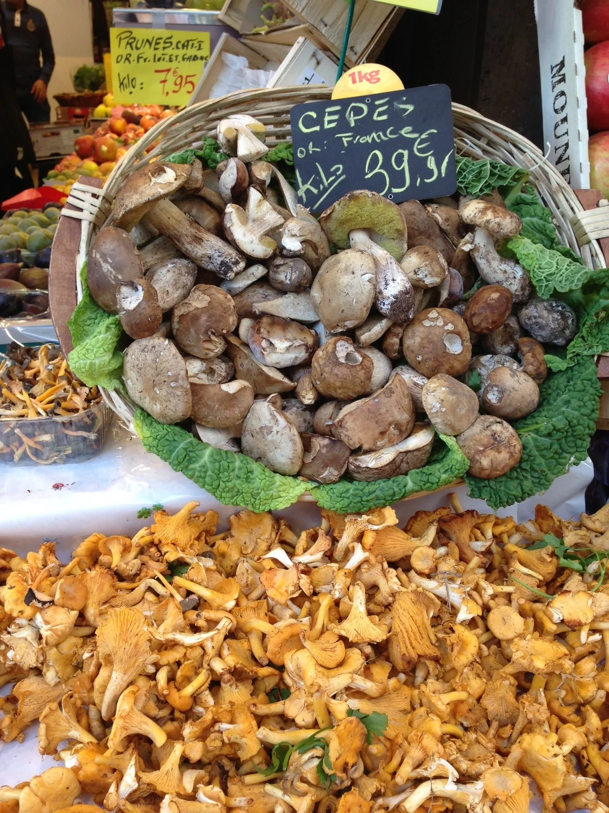 LES CHAMPIGNONS
