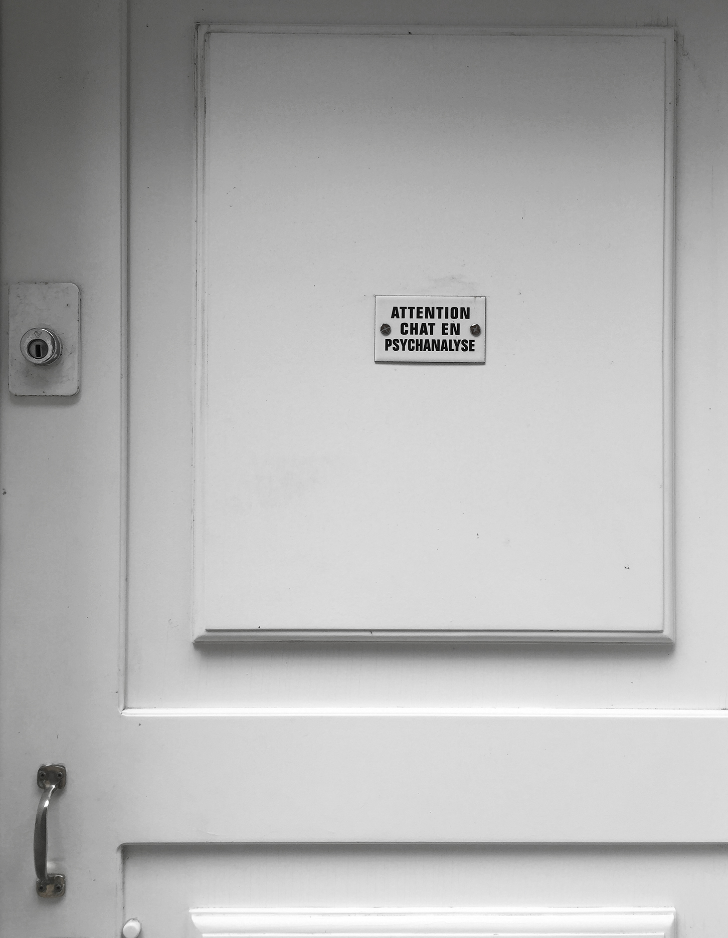 Cats In Paris Moments Parfaits