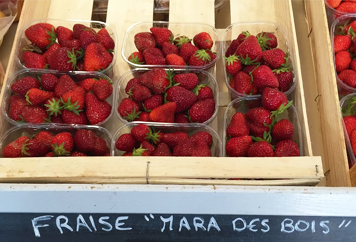 Mara des Bois, a cultivated strawberry with a flavor reminiscent of wild strawberries