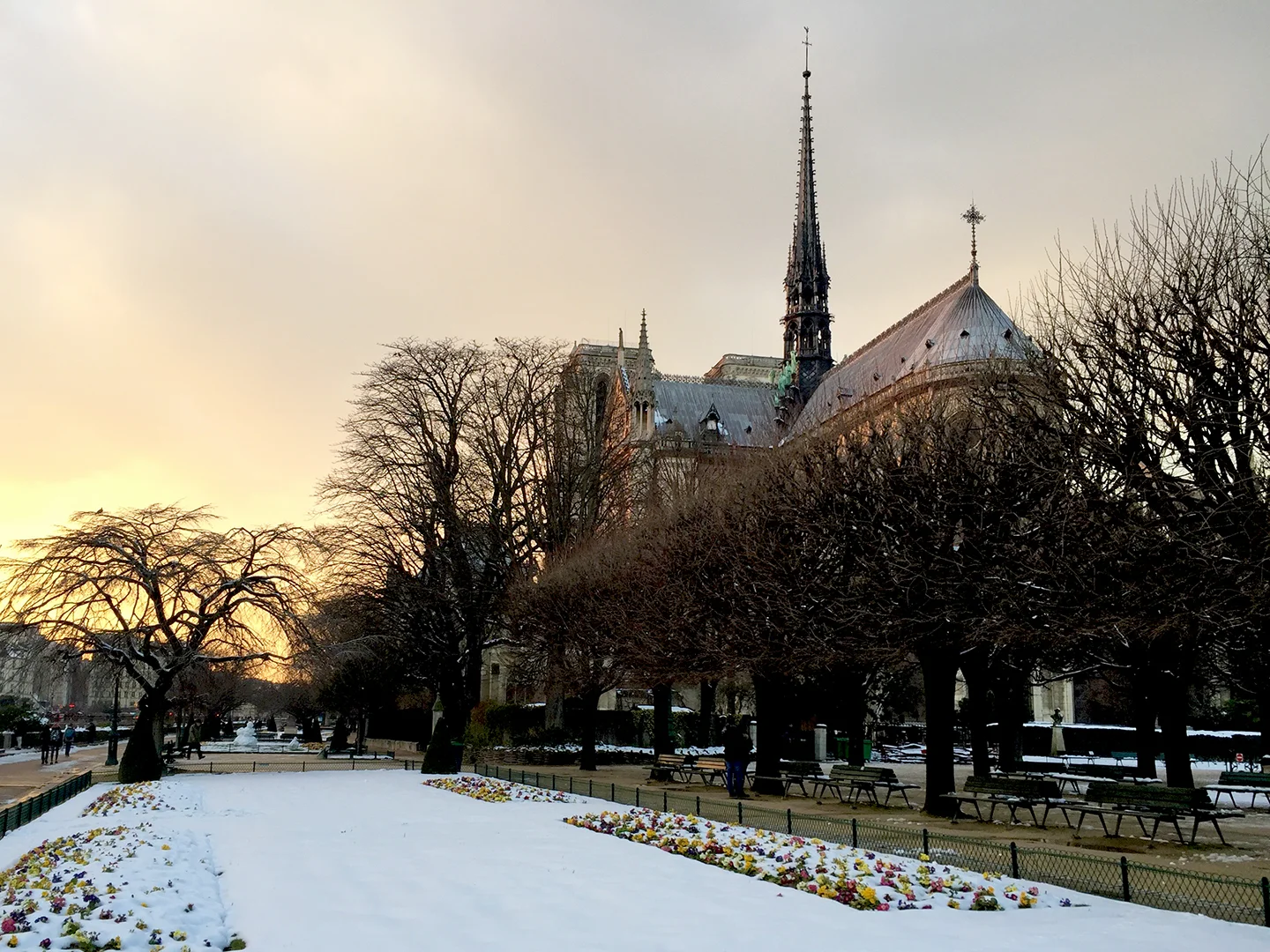 A rare photo of Notre-Dame on a snowy day
