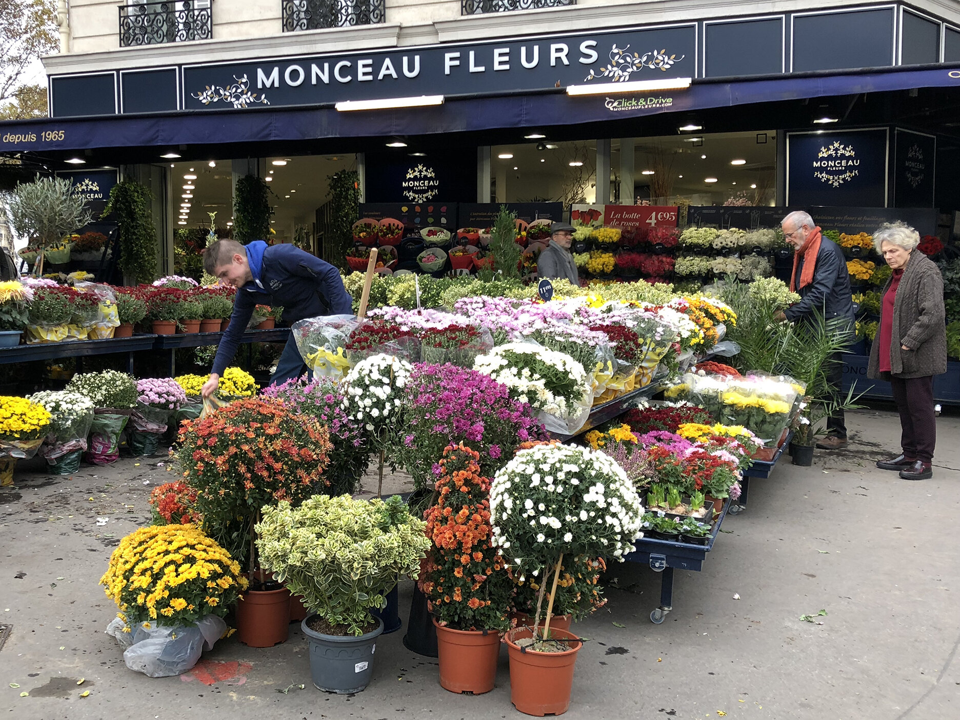 Roots Latest Post Moments Parfaits