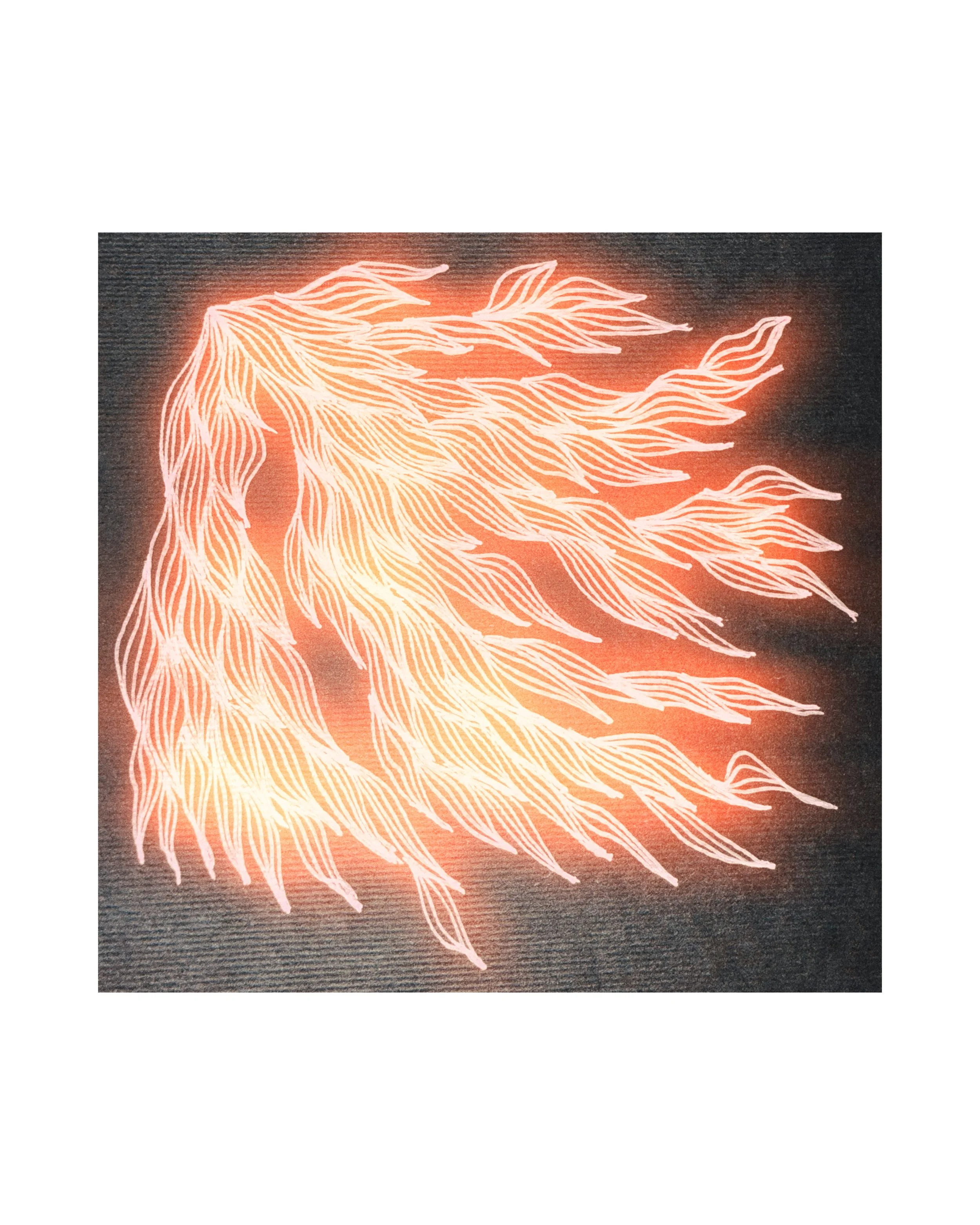 IMG_0292_Afterlight 3.JPG