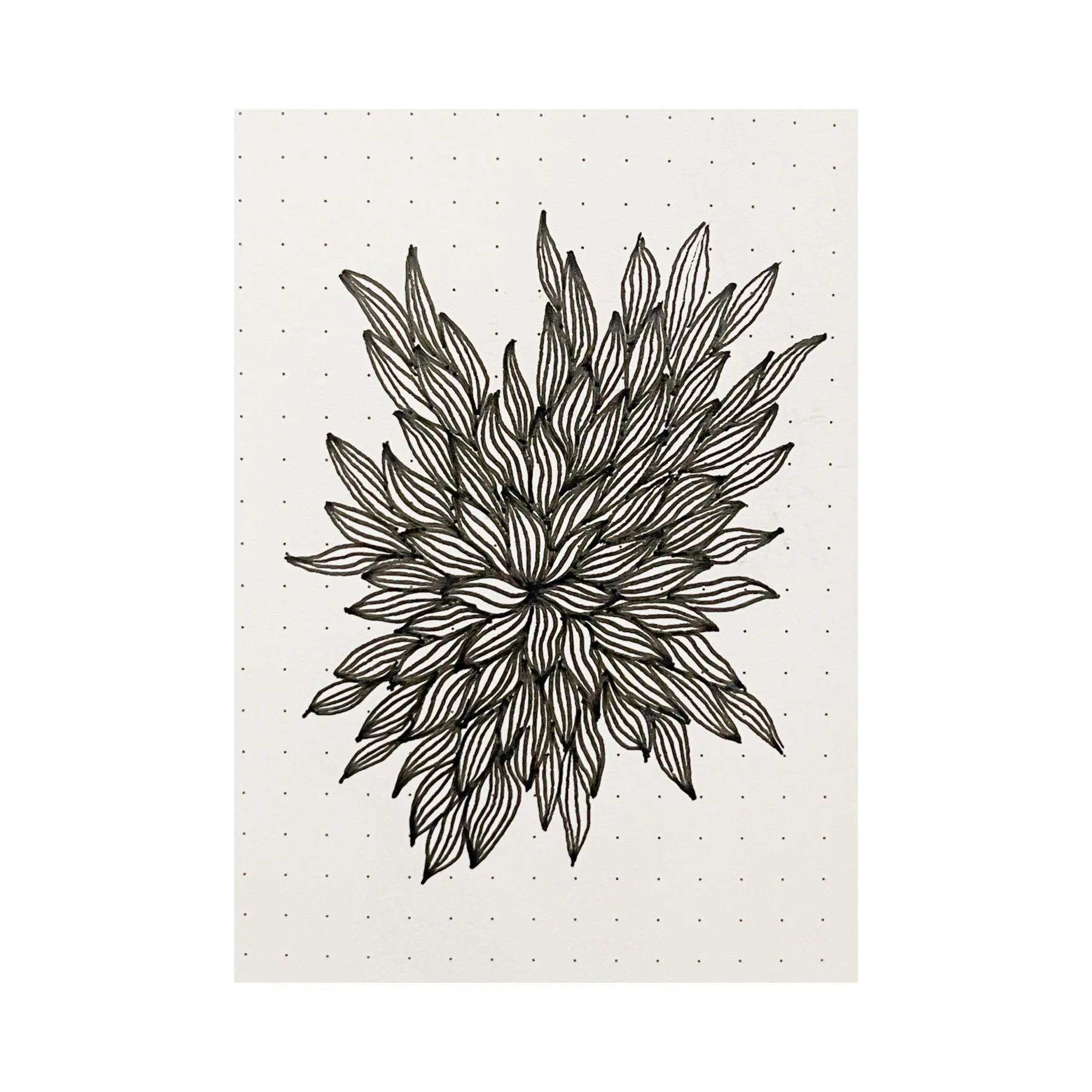 AfterlightImage 27.JPG