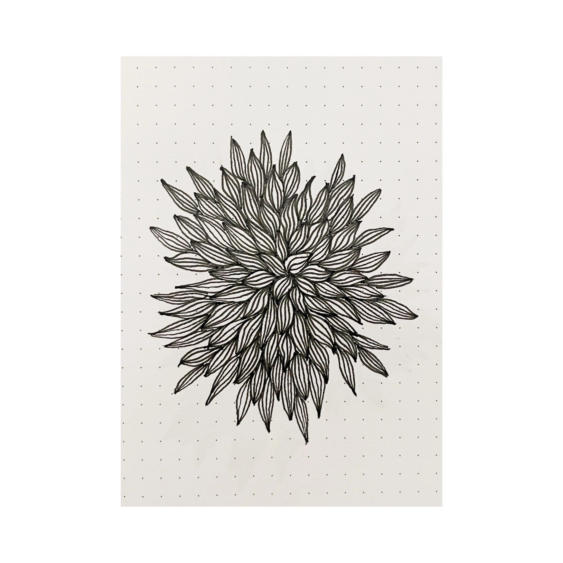 AfterlightImage 28.JPG