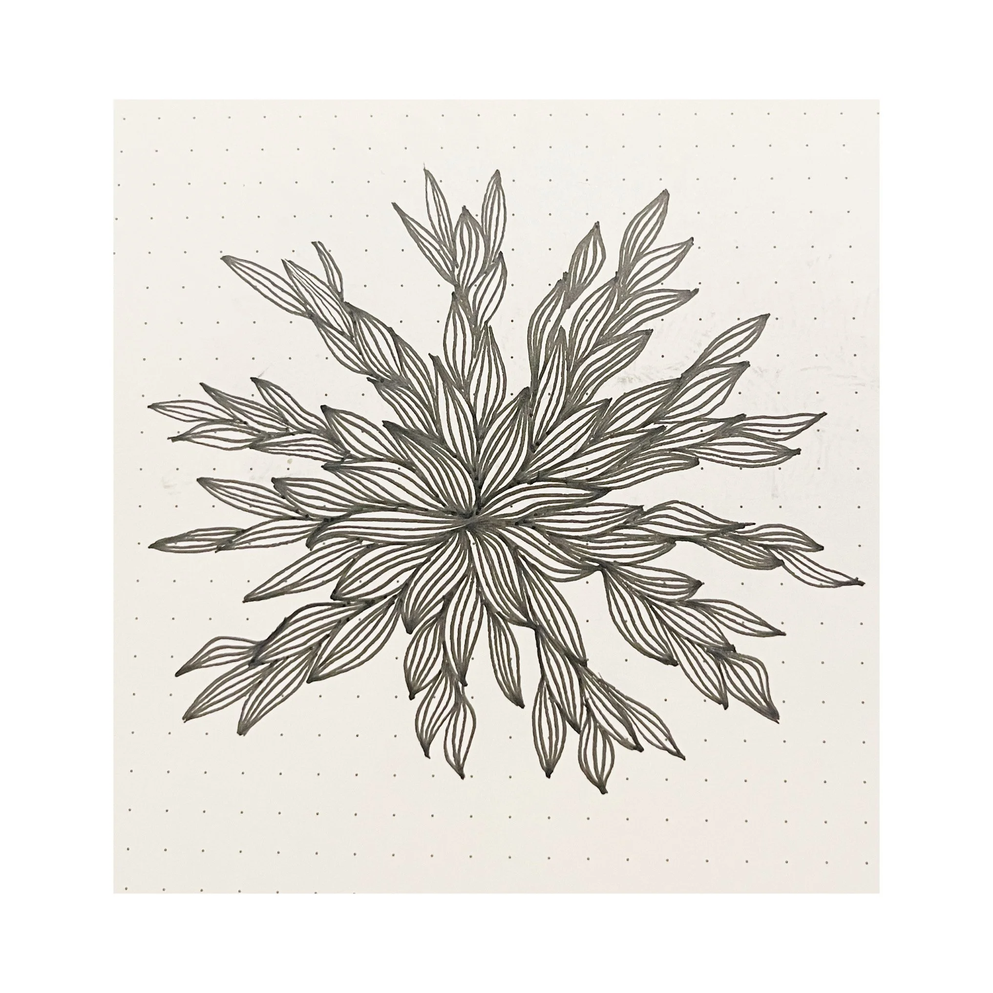 AfterlightImage 29.JPG