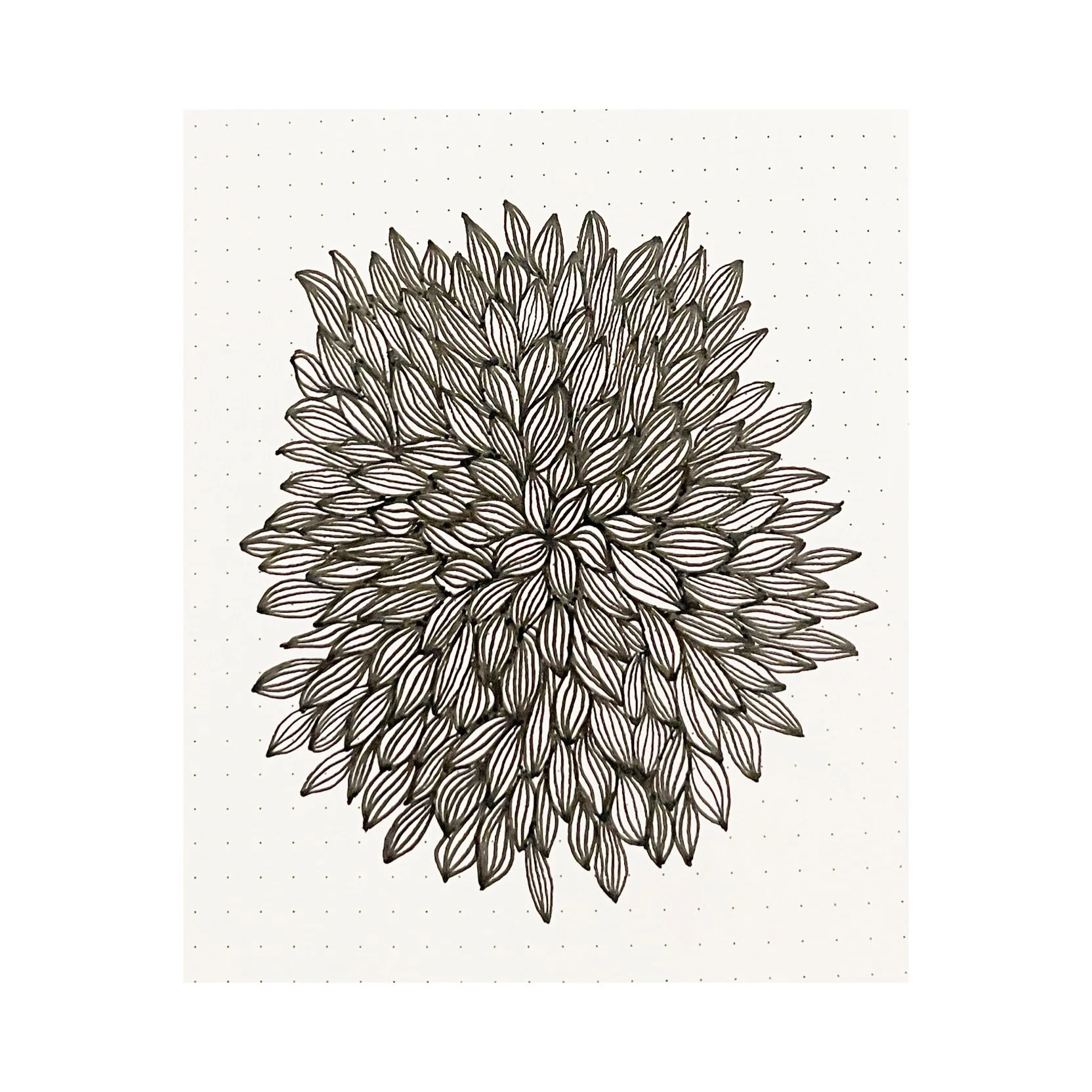 AfterlightImage 30.JPG