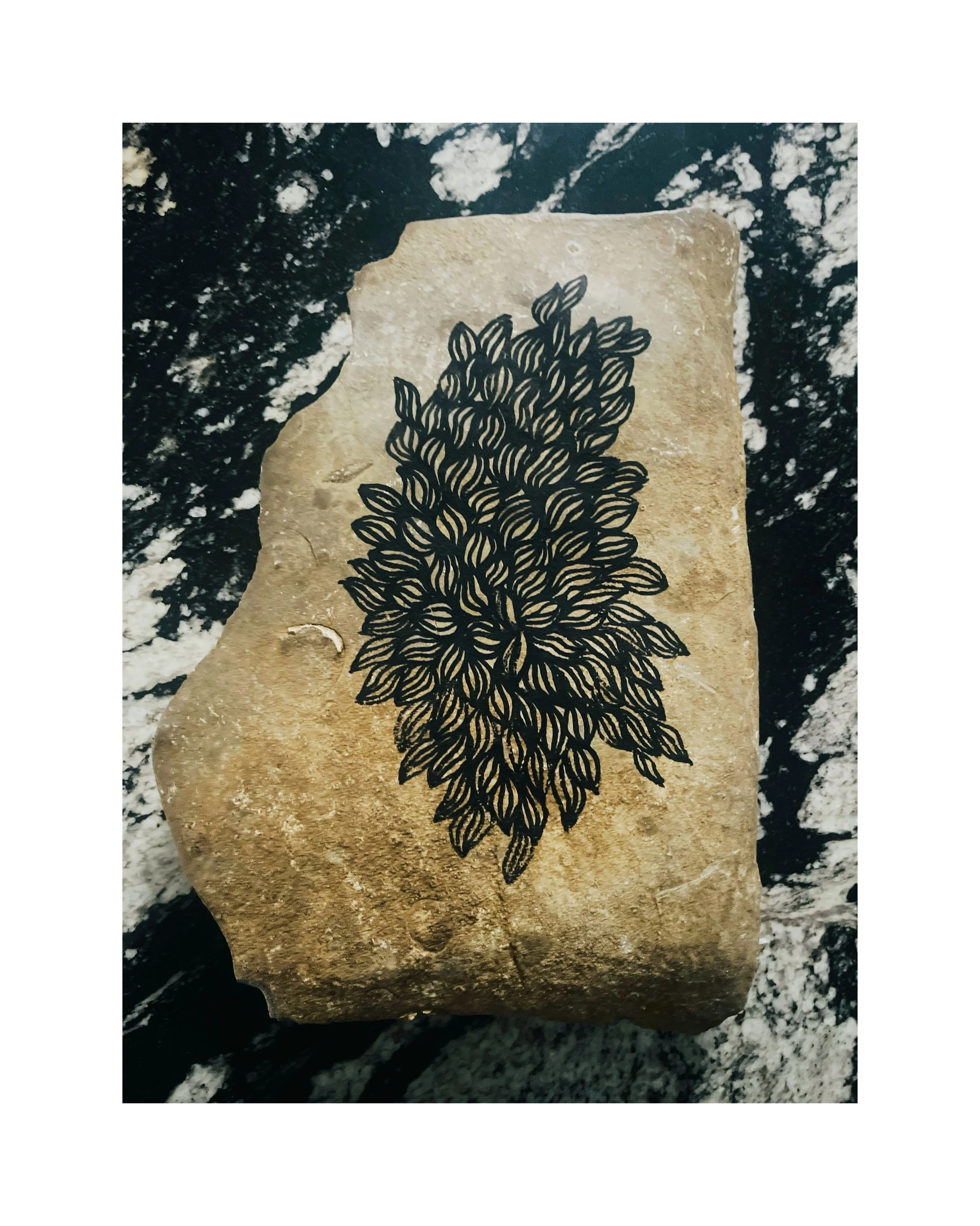 AfterlightImage 32.JPG