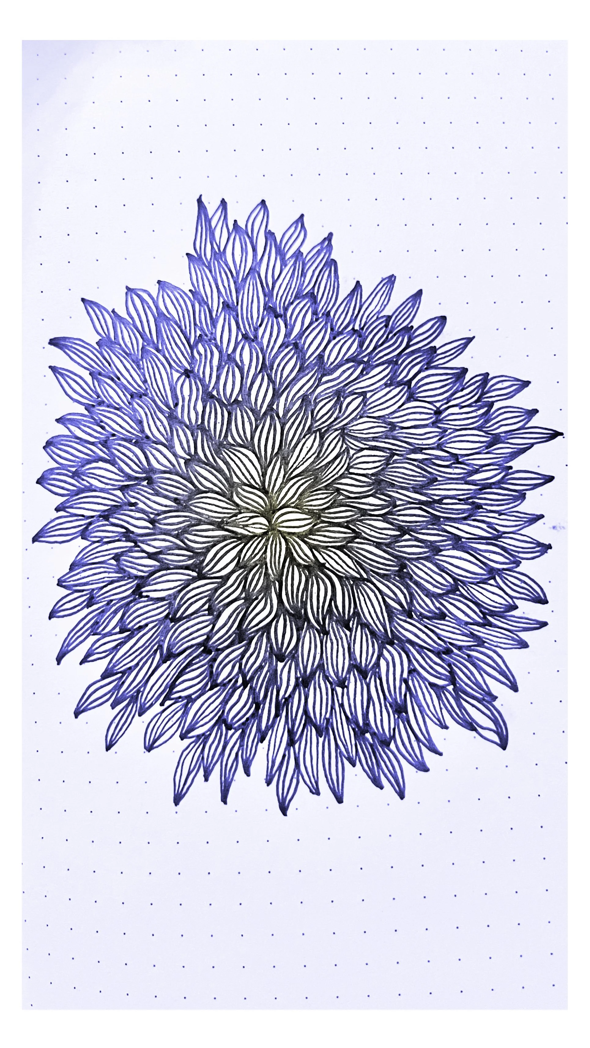 Enlight48.jpg