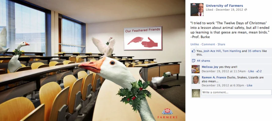 FB_post4.jpeg