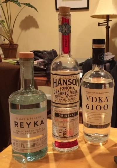 Vodka Tasting - 1.jpg