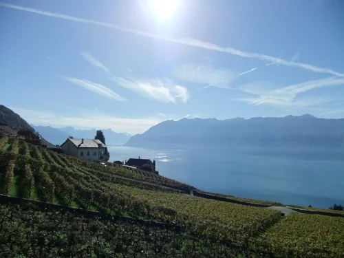 Terroir-and-climate.jpg