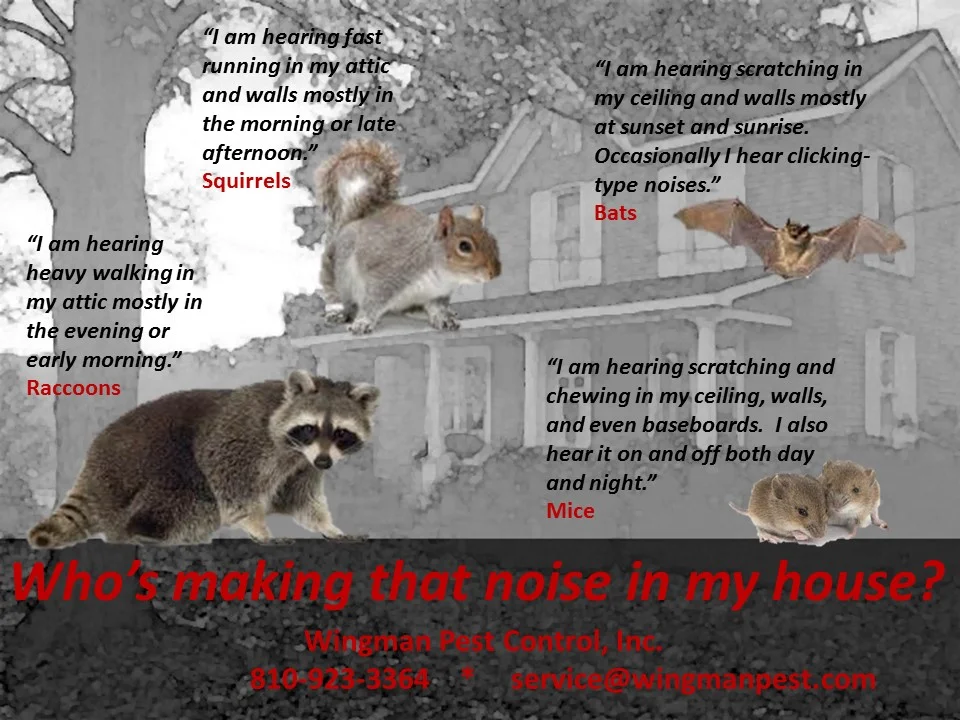 General Services Old Wingman Pest Control Inc