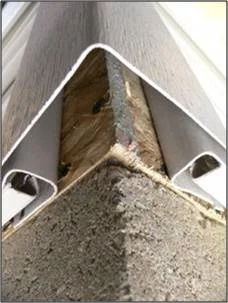 After the rodents have been successfully controlled the house needs to be sealed up in great detail.