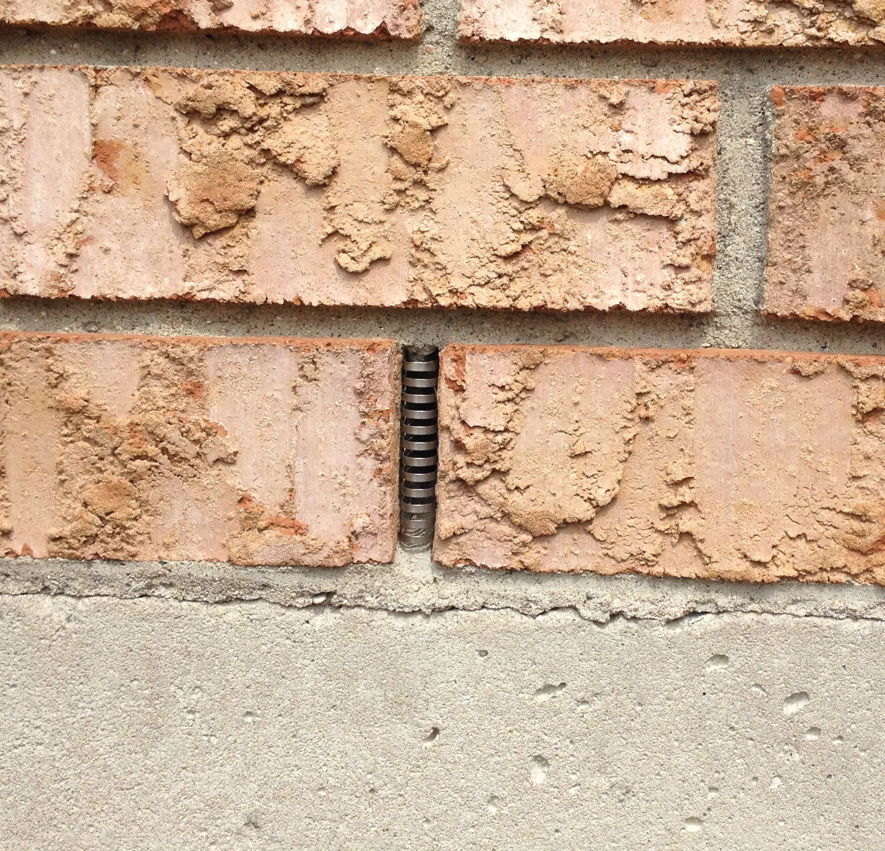 ridomice2.jpg