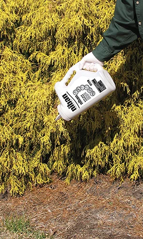 We apply granular or gel baits that are safe around people and animals.