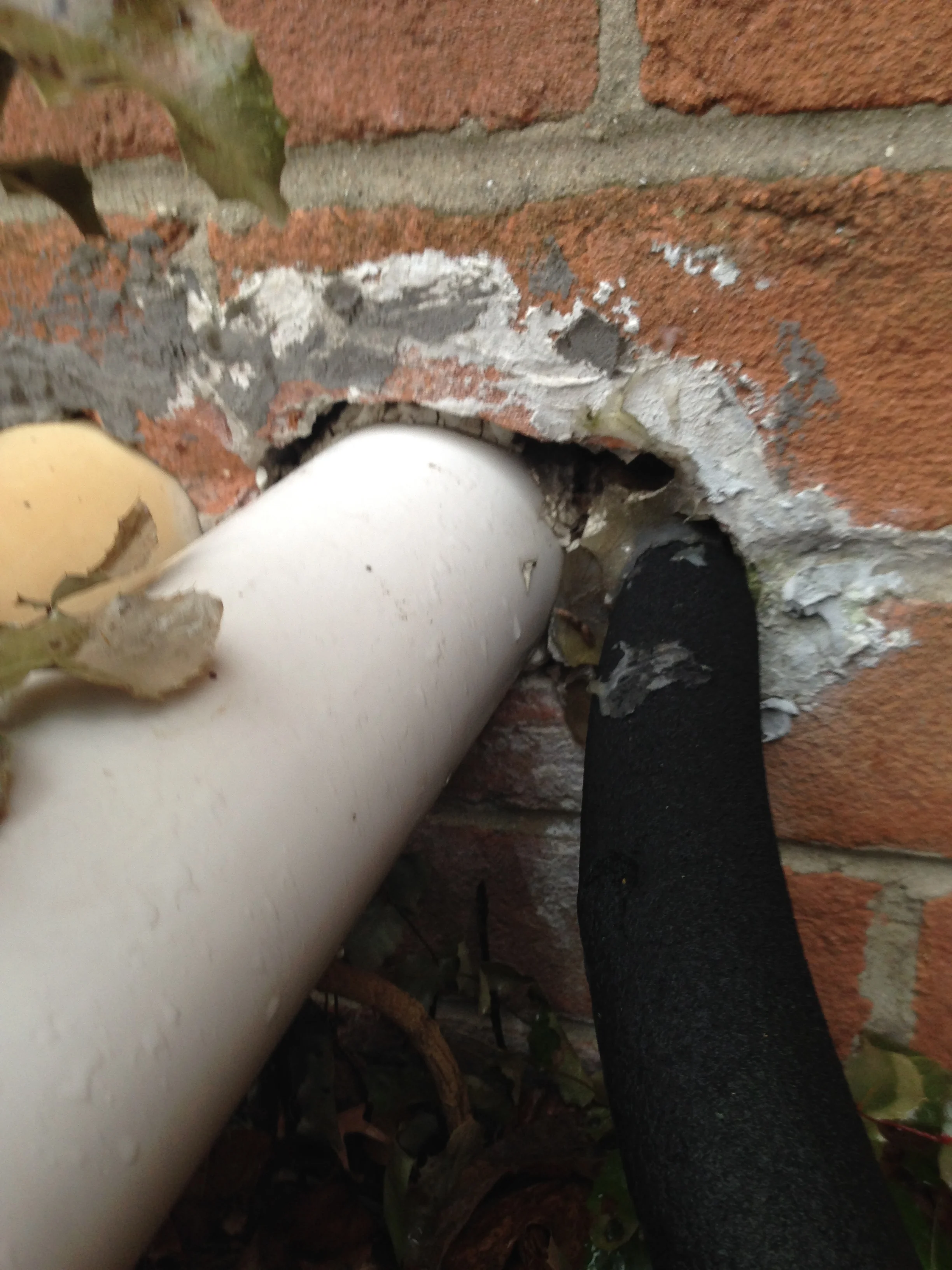 We can seal out most gaps where ants like to enter the home.
