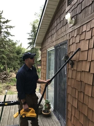 Sometimes a thorough vacuuming gives instant results on the bug pressure.