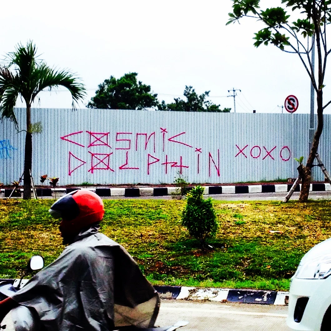 Cosmic Dolphin xoxo - Bali.