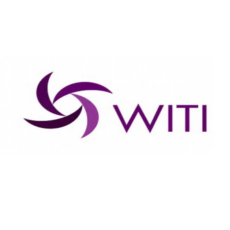 Women In Technology International (WITI)