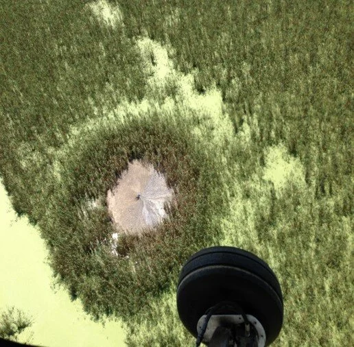 Mud lumps are a rare geologic phenomenon observed within the ...