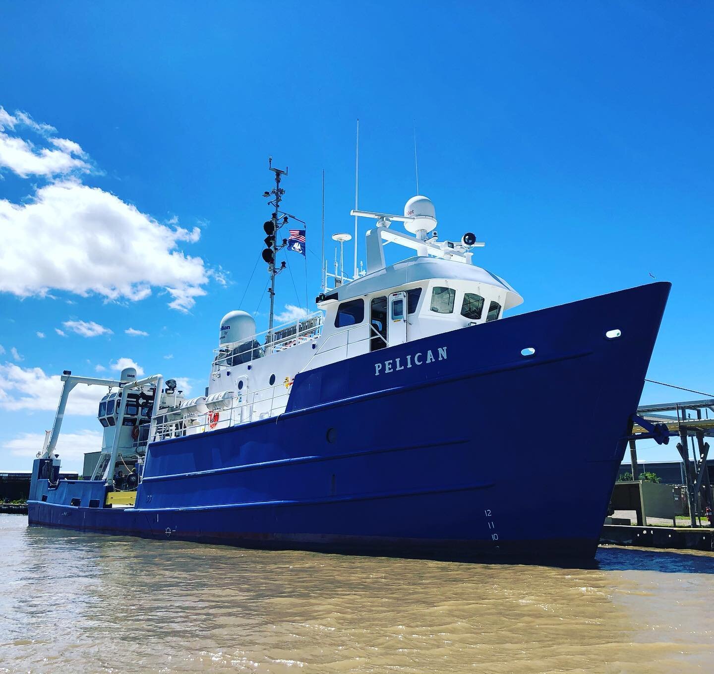 The #RVPelican was looking really sharp in the #mississippiriverdelta this morning. It was definitely reminiscent of #jacquescousteau and his ship, the #Calyspo #lumconscience #researchvessel #gulfofmexico #MississippiRiver