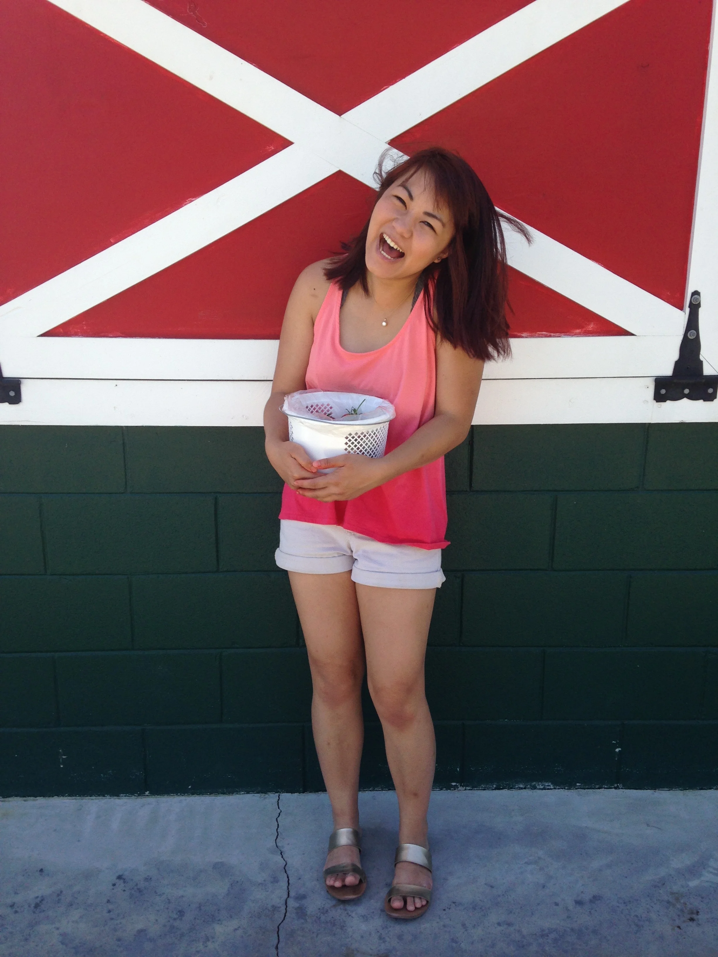 petites lettres: spring break edition