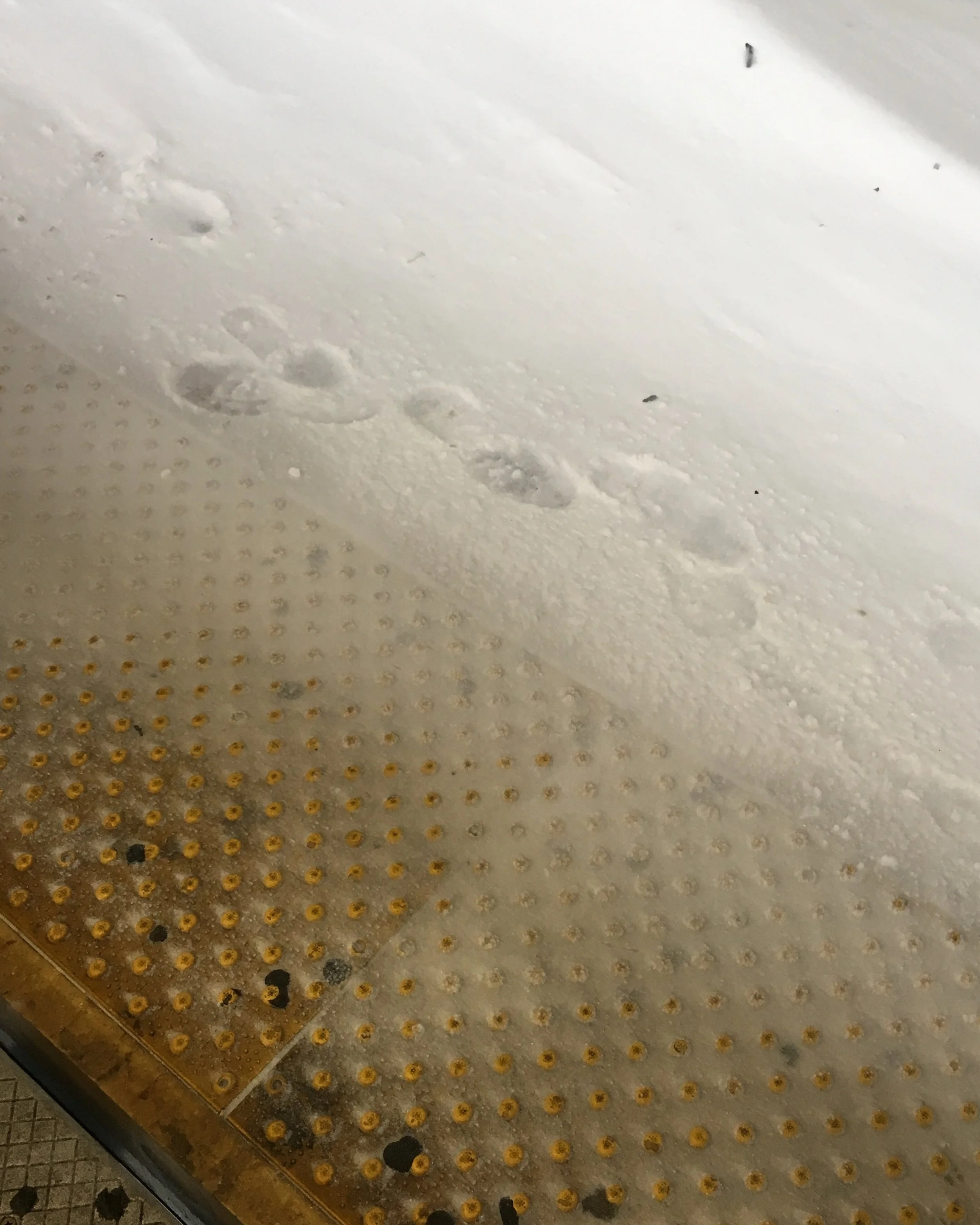 subway mini series: mmm, what a nice wiff of urine & other unknown things