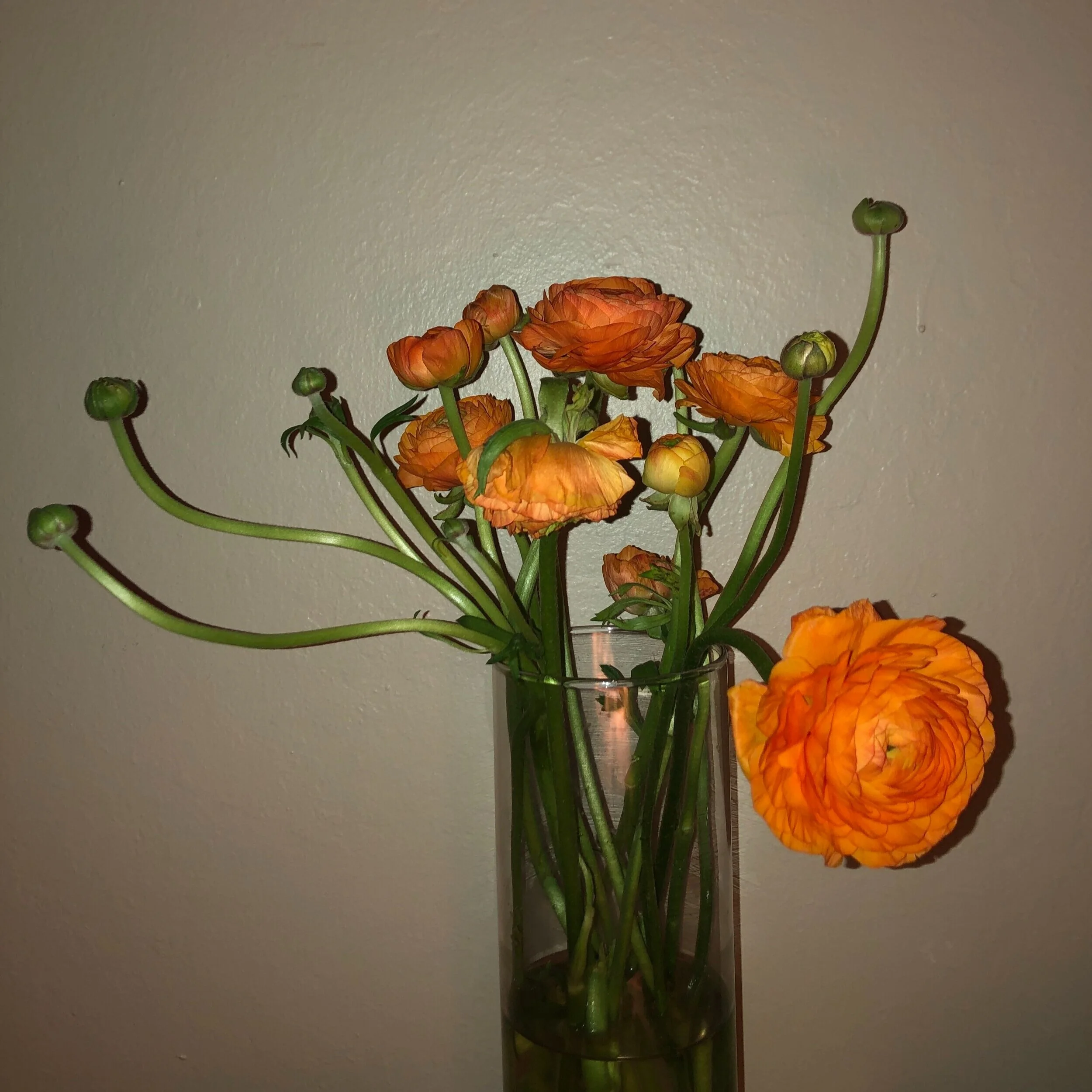 sometimes we're okay and sometimes we're not