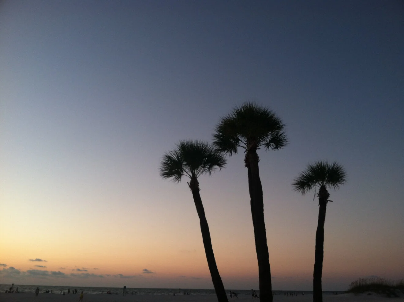 tampa, fl | quick trip to paradise