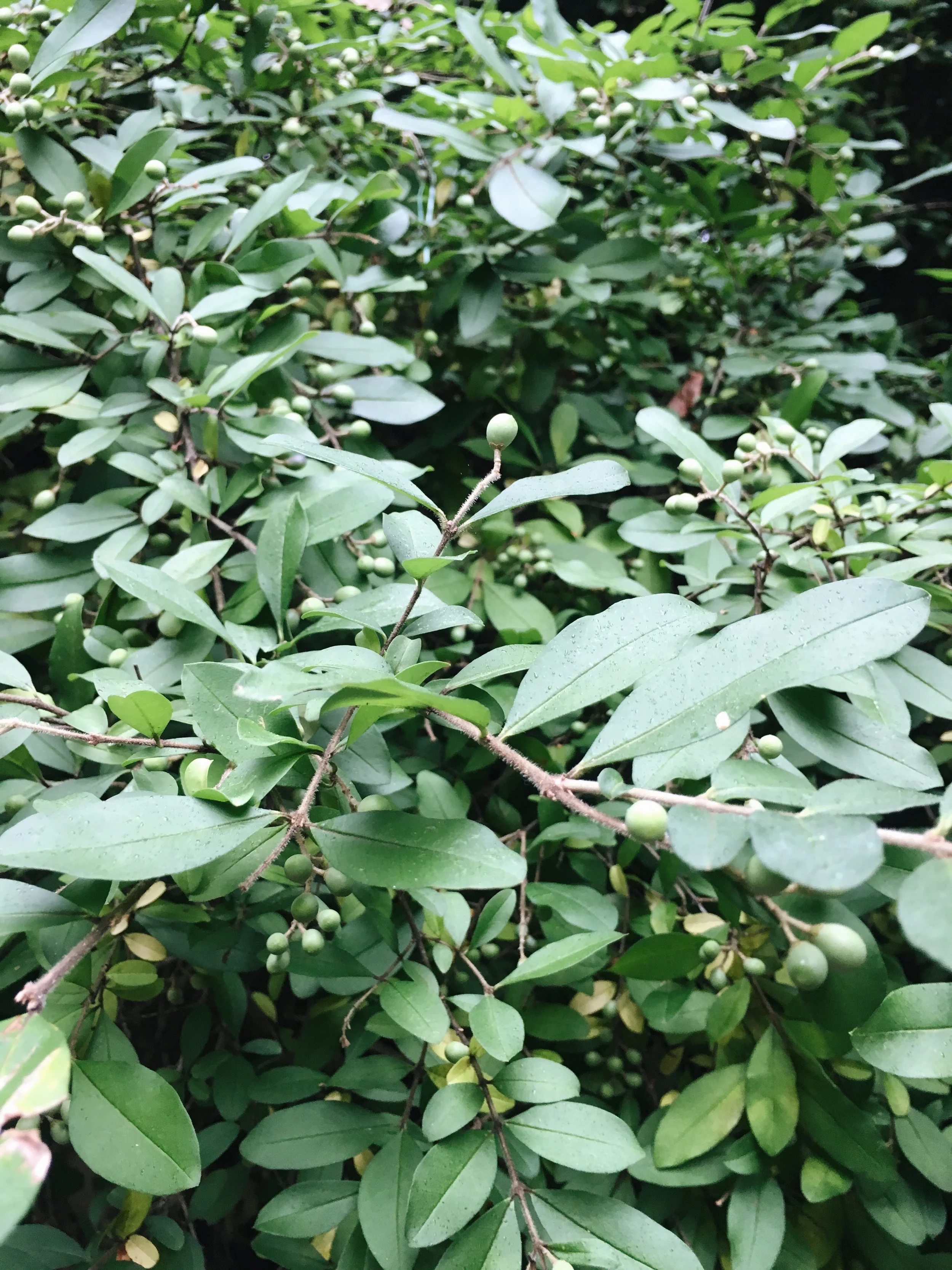 Sundays in the Winter