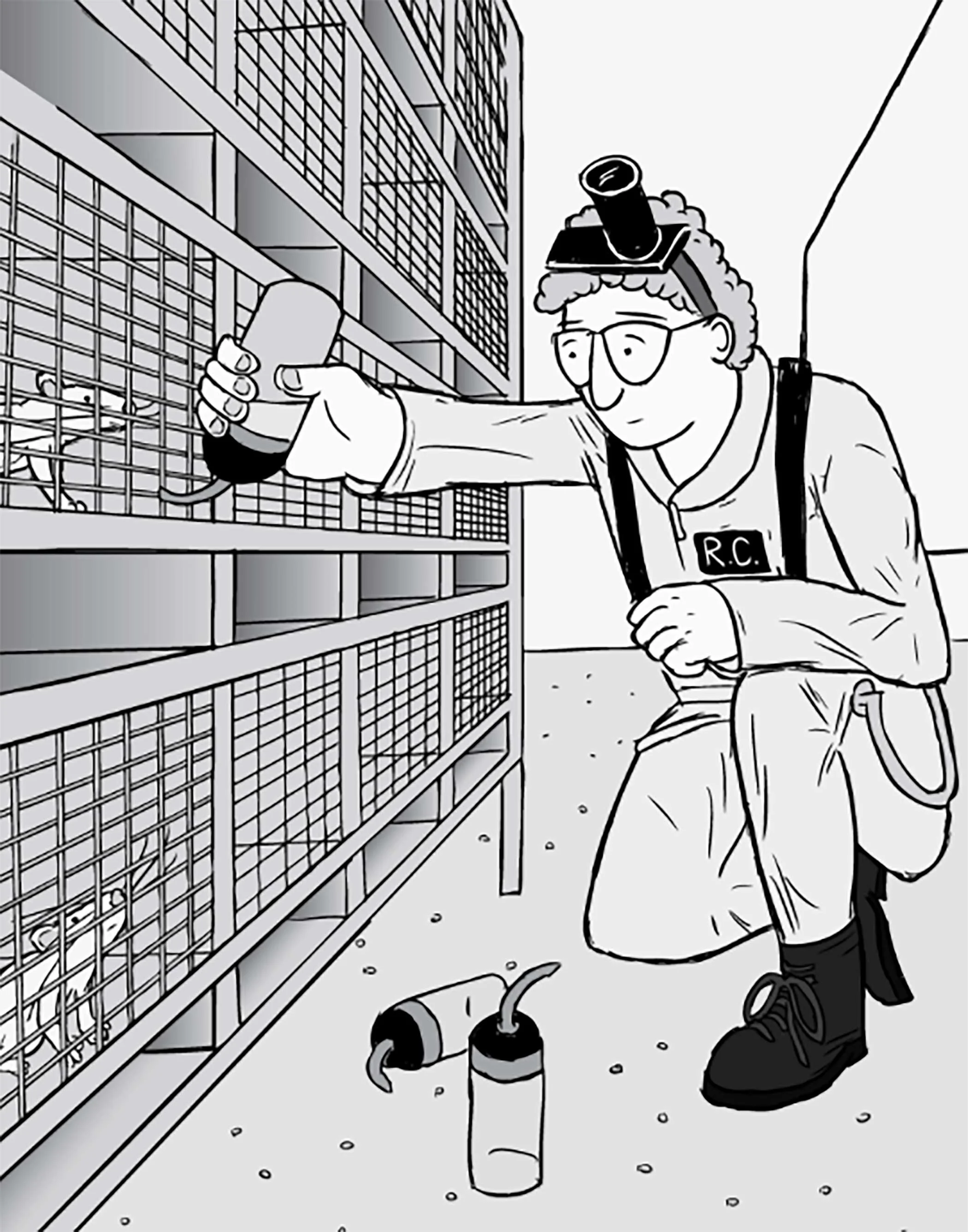 The “rat park” experiment. Illustrations by Stuart McMillen.