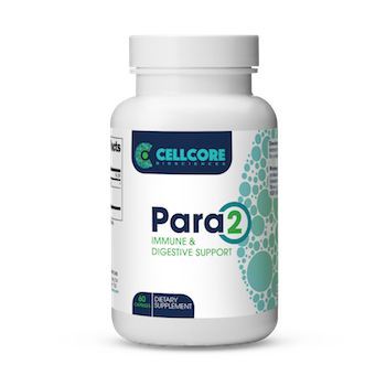 PARA 2_1.png
