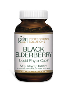 black-elderberry-5.gif