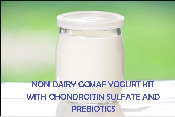 NON DAIRY YOGURT KIT.JPG