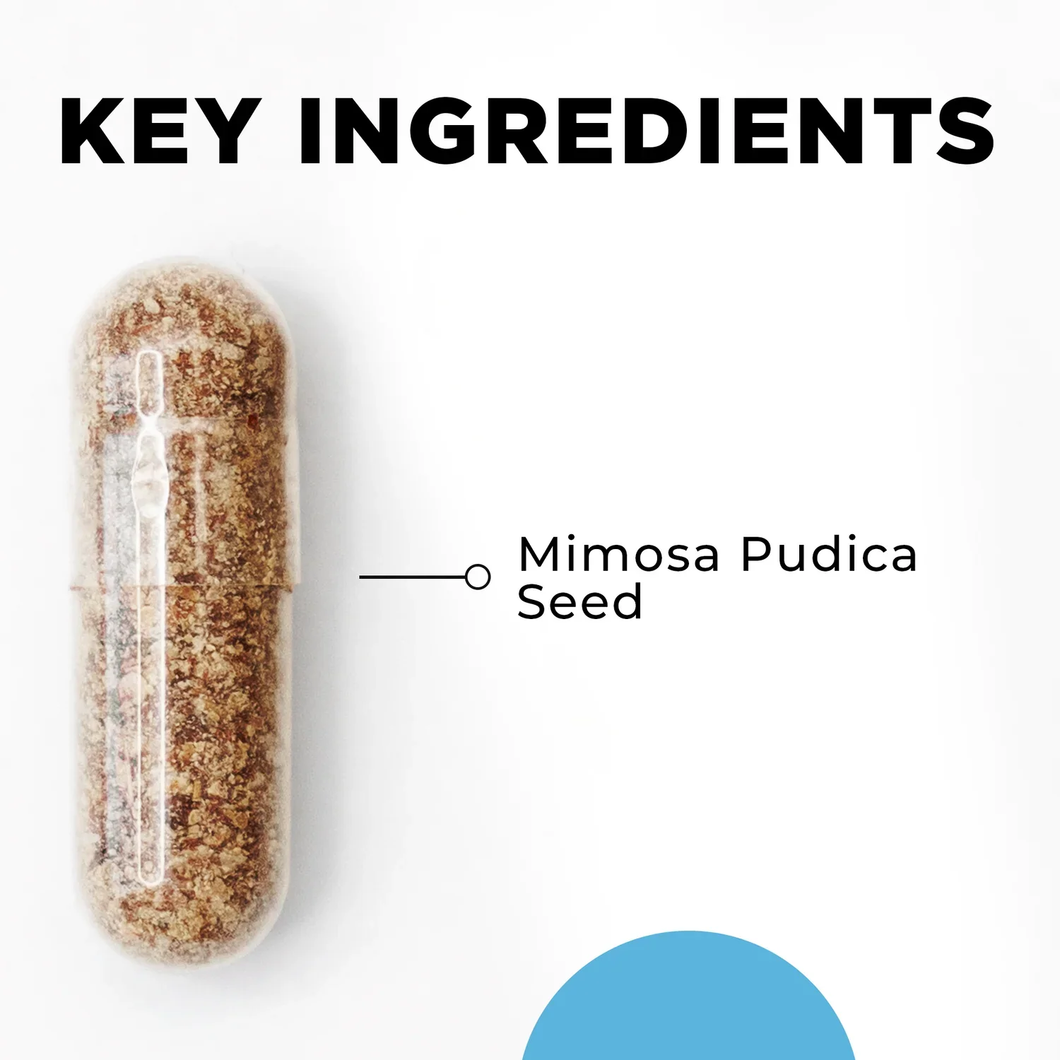 Para_1_Key_Ingredients_1_1500x1500.webp