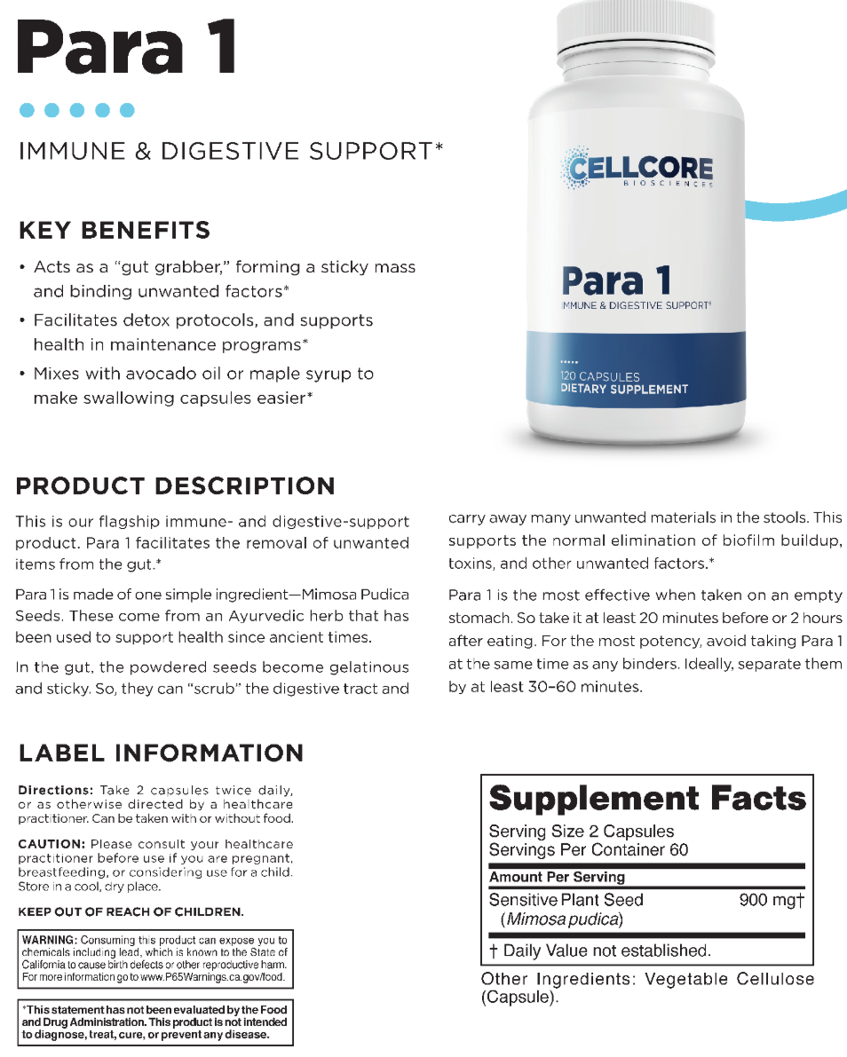 para 1 info sheet.PNG