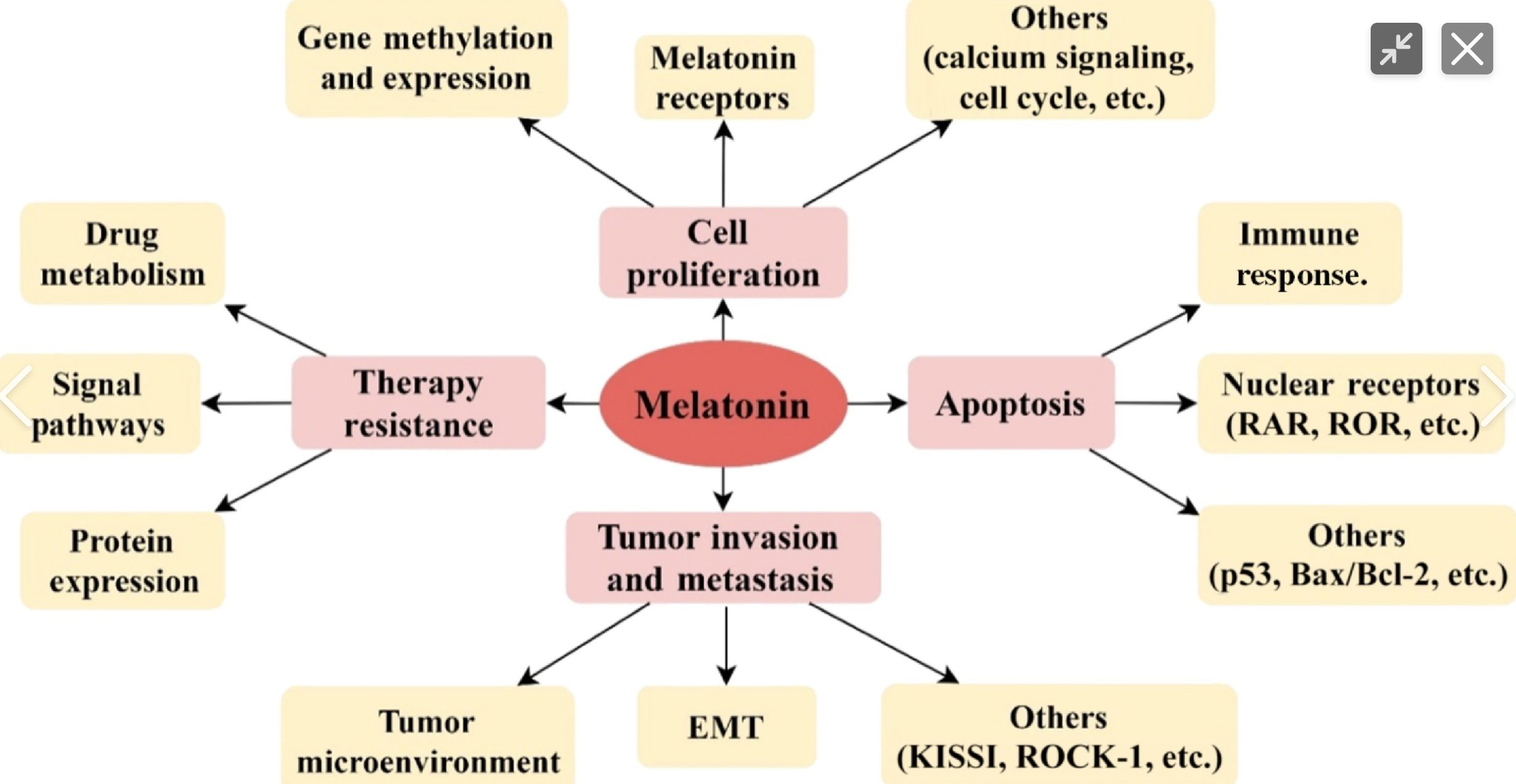 MELATONIN BENEFIT 1.PNG