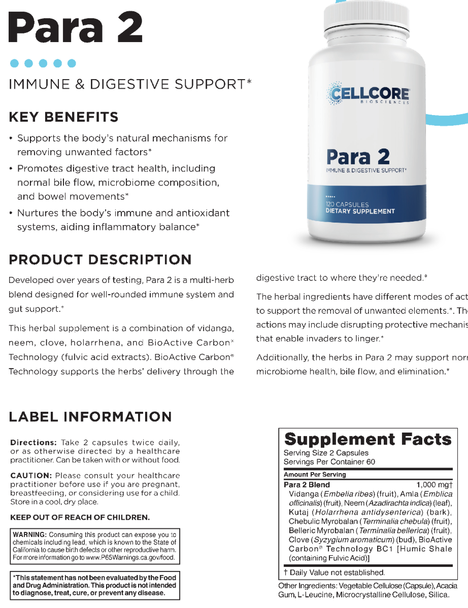 para 2 info sheet.PNG