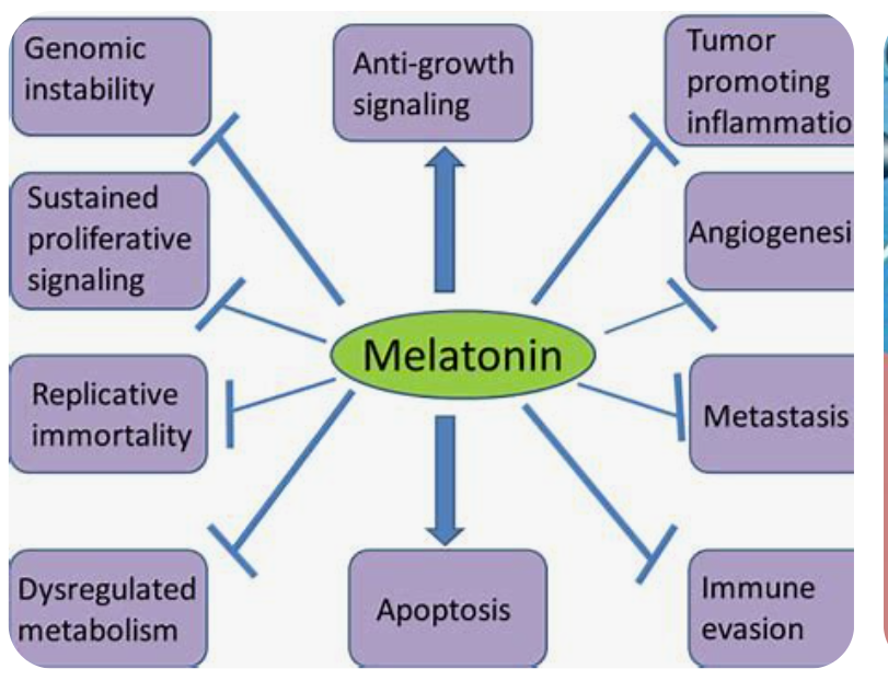 MELATONIN BENEFIT.PNG