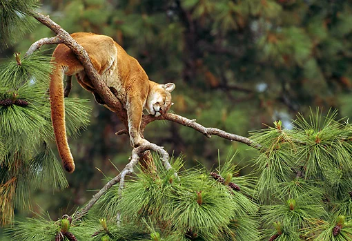 Just A Small Observation