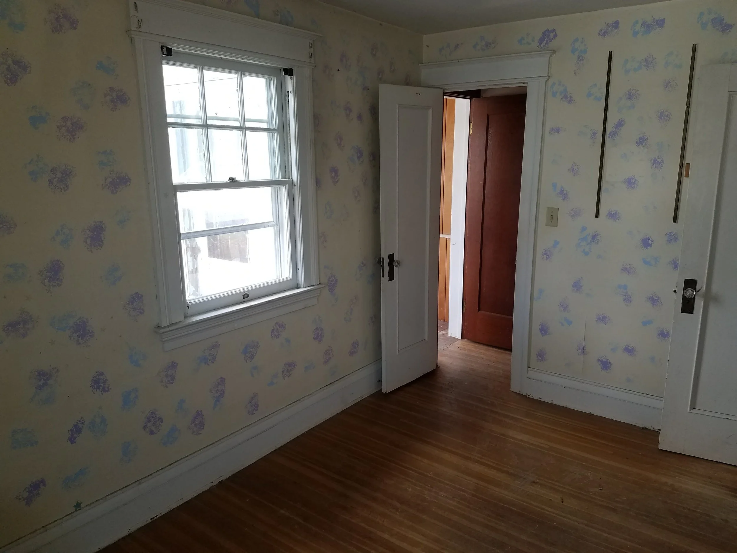 20180409_104404.jpg