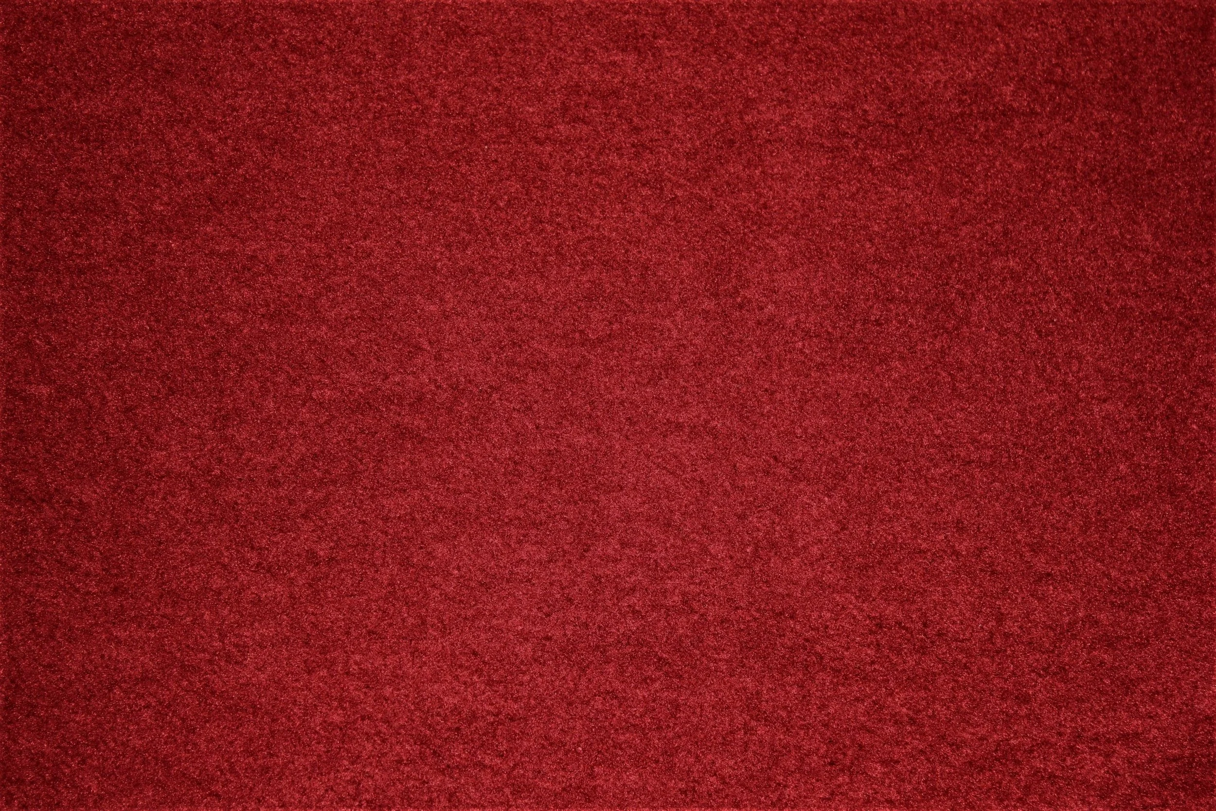 Gfp-interior-of-red-shirt (2).jpg