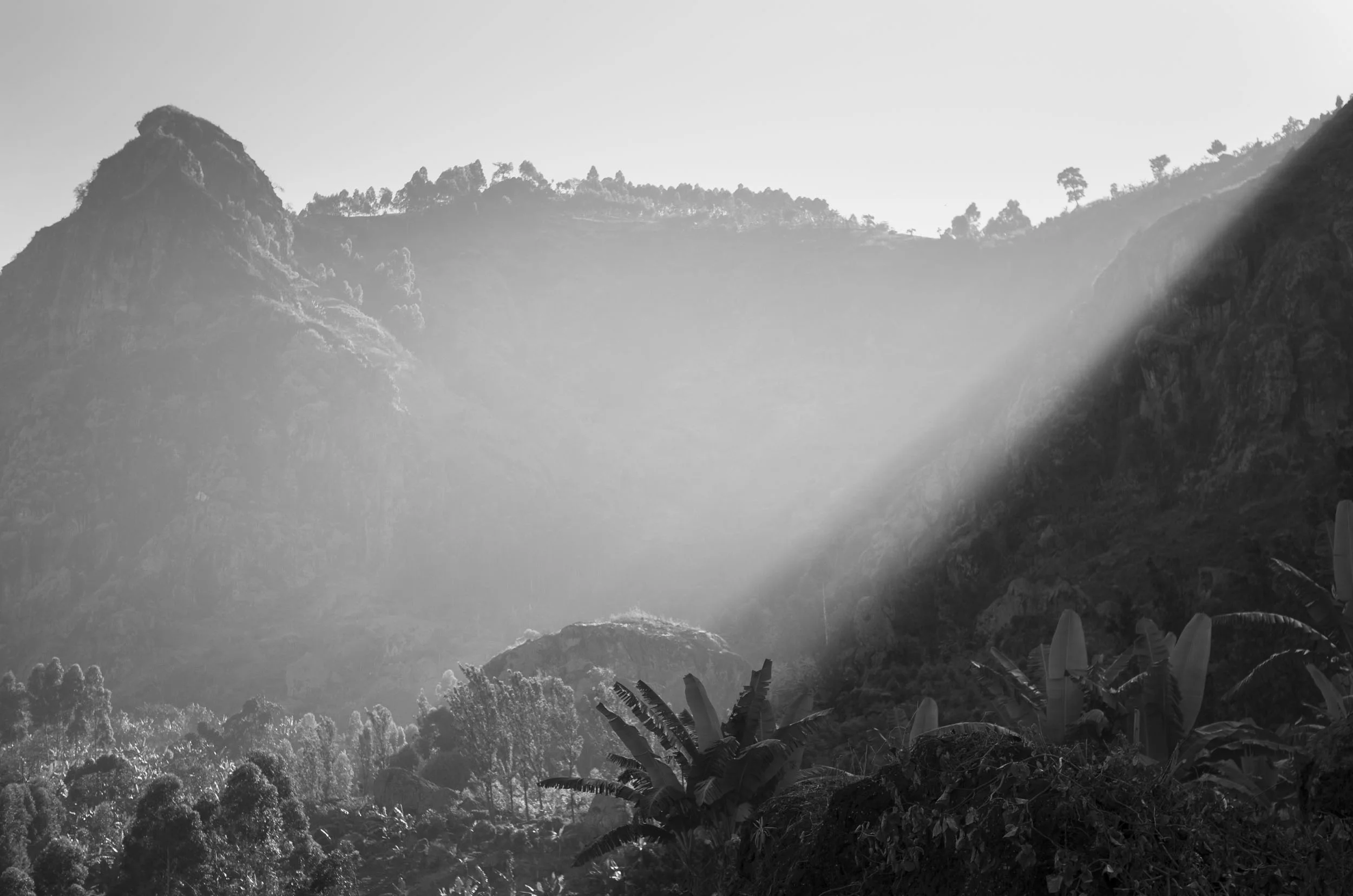 Close To Our First Harvest Season