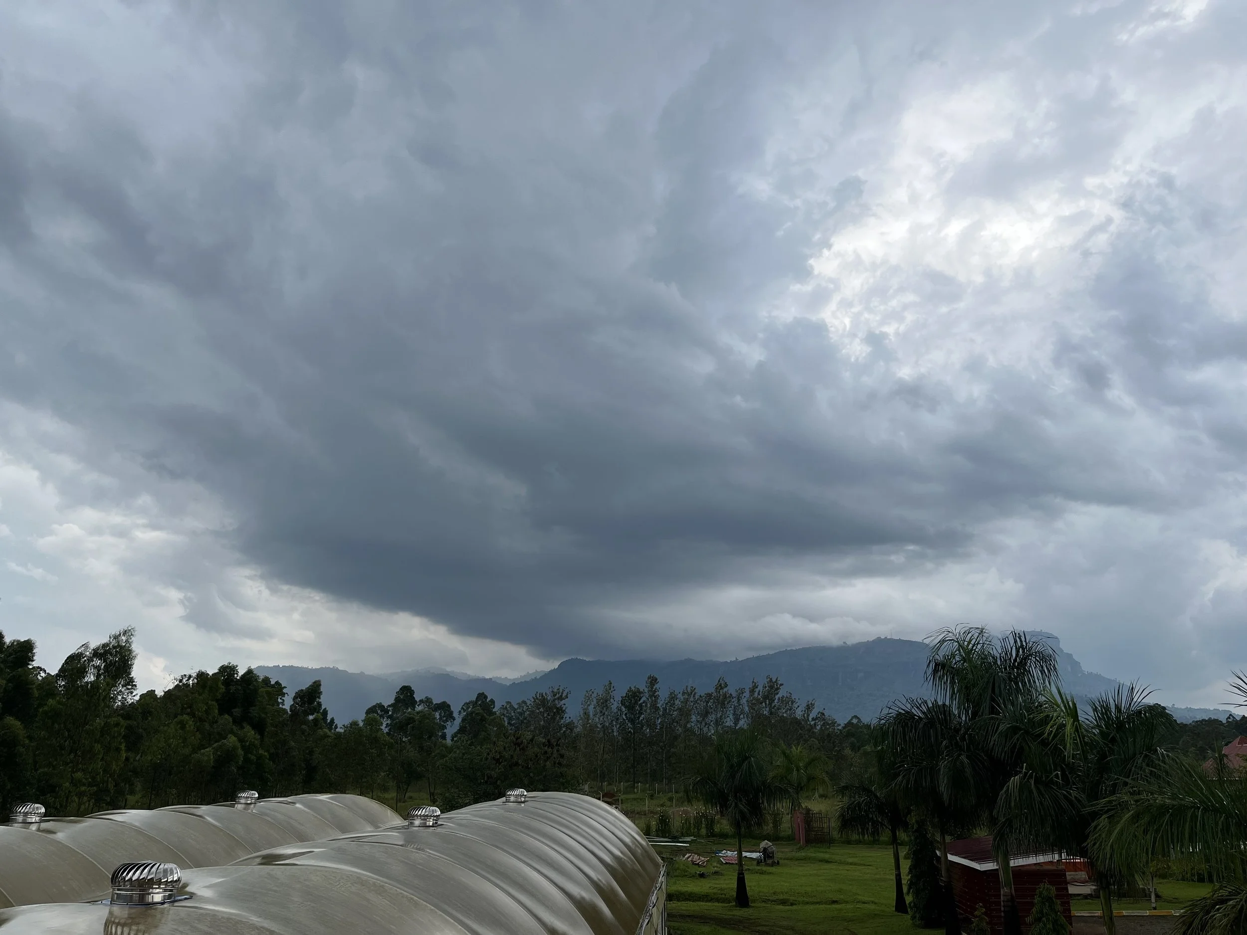 Have you ever seen the rain?