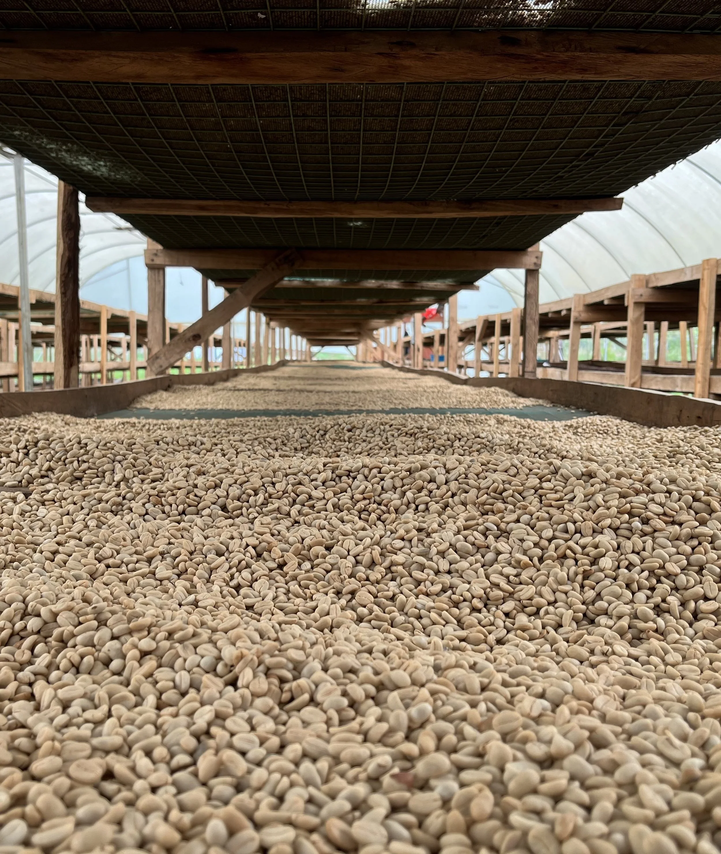 A haiku for coffee season