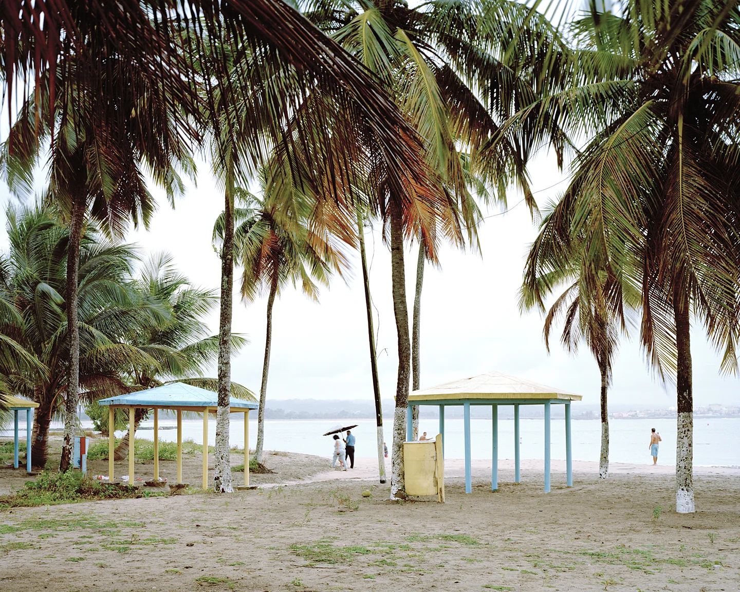 Beach Bungolows, 2008